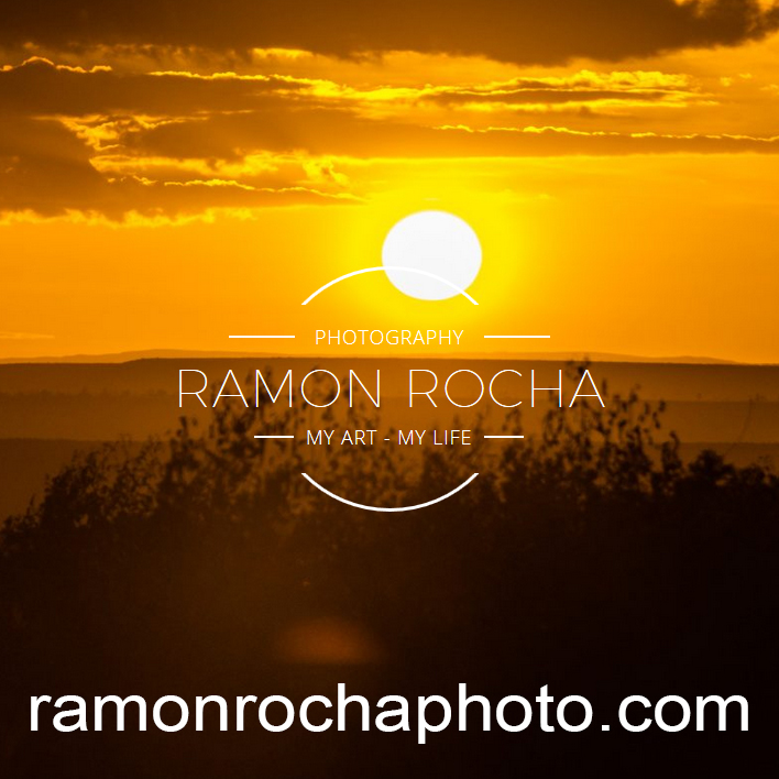 Ramon Rocha Photo